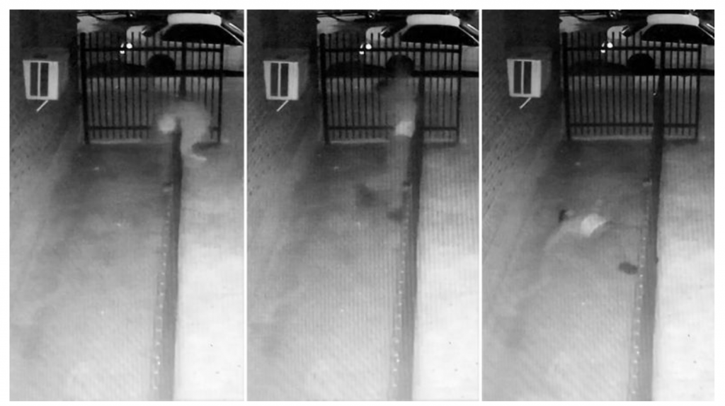 Sosyal medyada ve bazı haber sitelerinde yapılan paylaşımda bir fotoğrafın Çiftlik Bank'ın kurucusu Mehmet Aydın'ın ölümüne ait olduğu iddia edildi.