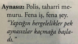 Aynas�z tabiri, Renault otomobillerden gelmiyor!
